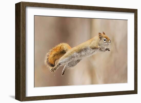 I Can Fly!-Mircea Costina-Framed Photographic Print