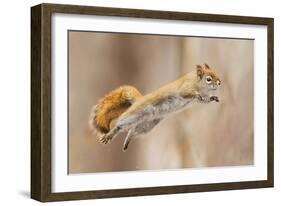 I Can Fly!-Mircea Costina-Framed Photographic Print