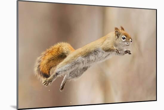 I Can Fly!-Mircea Costina-Mounted Photographic Print