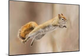 I Can Fly!-Mircea Costina-Mounted Photographic Print