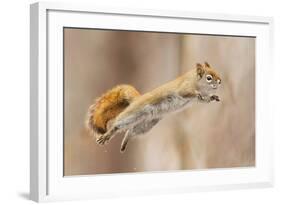 I Can Fly!-Mircea Costina-Framed Photographic Print