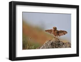 I Can Fly!!!-Muayad Amer-Framed Photographic Print