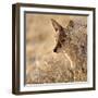 I Can See You, 2017-Eric Meyer-Framed Photographic Print