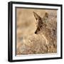 I Can See You, 2017-Eric Meyer-Framed Photographic Print