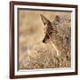 I Can See You, 2017-Eric Meyer-Framed Photographic Print