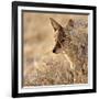 I Can See You, 2017-Eric Meyer-Framed Photographic Print