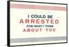 I Could be Arrested-null-Framed Stretched Canvas