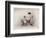 'I Could Not Learn My Book Mama', c1810-Adam Buck-Framed Giclee Print