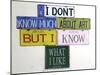 I Don't Know Much-Gregory Constantine-Mounted Giclee Print