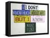 I Don't Know Much-Gregory Constantine-Framed Stretched Canvas