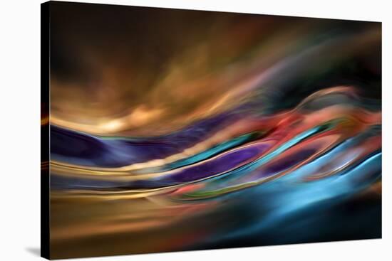 I Dream of Wild Places-Ursula Abresch-Stretched Canvas