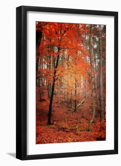 I Dream-Philippe Sainte-Laudy-Framed Photographic Print