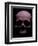 I Feel Like Death Today-Nathan Wright-Framed Photographic Print