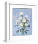 I Fiori I-Todd Telander-Framed Art Print