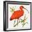 I For Ibis-Kenneth Lilly-Framed Giclee Print