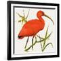I For Ibis-Kenneth Lilly-Framed Giclee Print