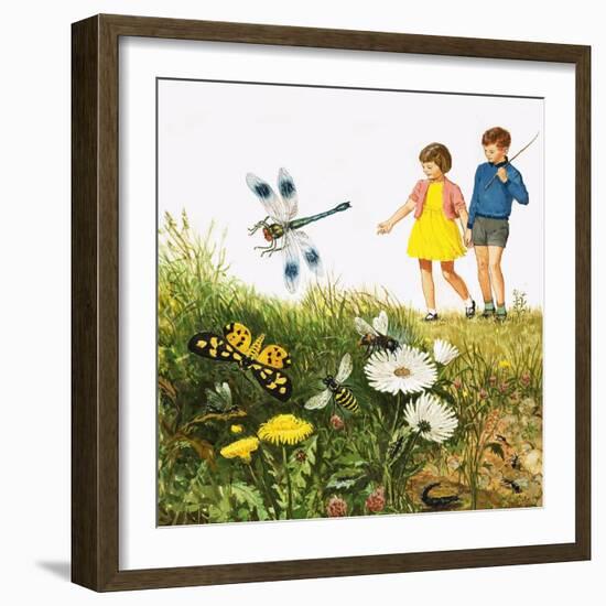 I For Insects-Clive Uptton-Framed Giclee Print