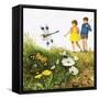 I For Insects-Clive Uptton-Framed Stretched Canvas