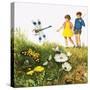 I For Insects-Clive Uptton-Stretched Canvas