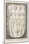 Wood Mount