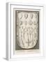 White Frame