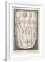 Gramercy White