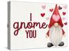 I Gnome You-Allen Kimberly-Stretched Canvas