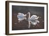 I Got You Babe-Bruce Dumas-Framed Giclee Print