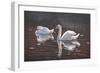 I Got You Babe-Bruce Dumas-Framed Giclee Print