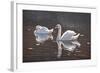 I Got You Babe-Bruce Dumas-Framed Giclee Print