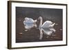 I Got You Babe-Bruce Dumas-Framed Giclee Print