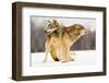 I Got You-Lisa Dearing-Framed Photographic Print