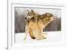 I Got You-Lisa Dearing-Framed Photographic Print