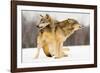 I Got You-Lisa Dearing-Framed Photographic Print