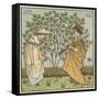 I Had a Little Nut Tree-Walter Crane-Framed Stretched Canvas