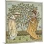 I Had a Little Nut Tree-Walter Crane-Mounted Giclee Print