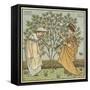 I Had a Little Nut Tree-Walter Crane-Framed Stretched Canvas