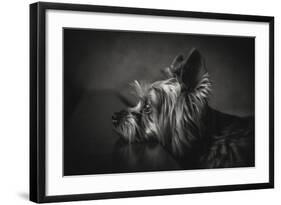 I Have Been Waiting For You-Krisztina Lacz-Framed Giclee Print