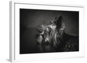 I Have Been Waiting For You-Krisztina Lacz-Framed Giclee Print