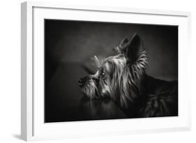 I Have Been Waiting for You ...-Krisztina Lacz-Framed Photographic Print