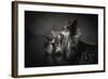 I Have Been Waiting for You ...-Krisztina Lacz-Framed Photographic Print