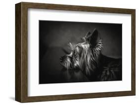 I Have Been Waiting for You ...-Krisztina Lacz-Framed Photographic Print