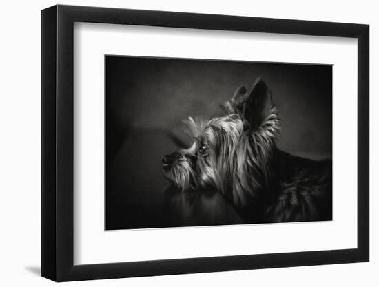 I Have Been Waiting for You ...-Krisztina Lacz-Framed Photographic Print