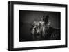 I Have Been Waiting for You ...-Krisztina Lacz-Framed Photographic Print