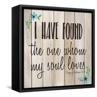 I Have Found-Kimberly Allen-Framed Stretched Canvas