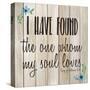 I Have Found-Kimberly Allen-Stretched Canvas