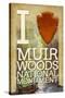 I Heart Muir Woods National Monument-Lantern Press-Stretched Canvas