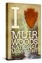 I Heart Muir Woods National Monument-Lantern Press-Stretched Canvas