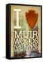 I Heart Muir Woods National Monument-Lantern Press-Framed Stretched Canvas