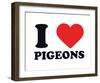 I Heart Pigeons-null-Framed Giclee Print